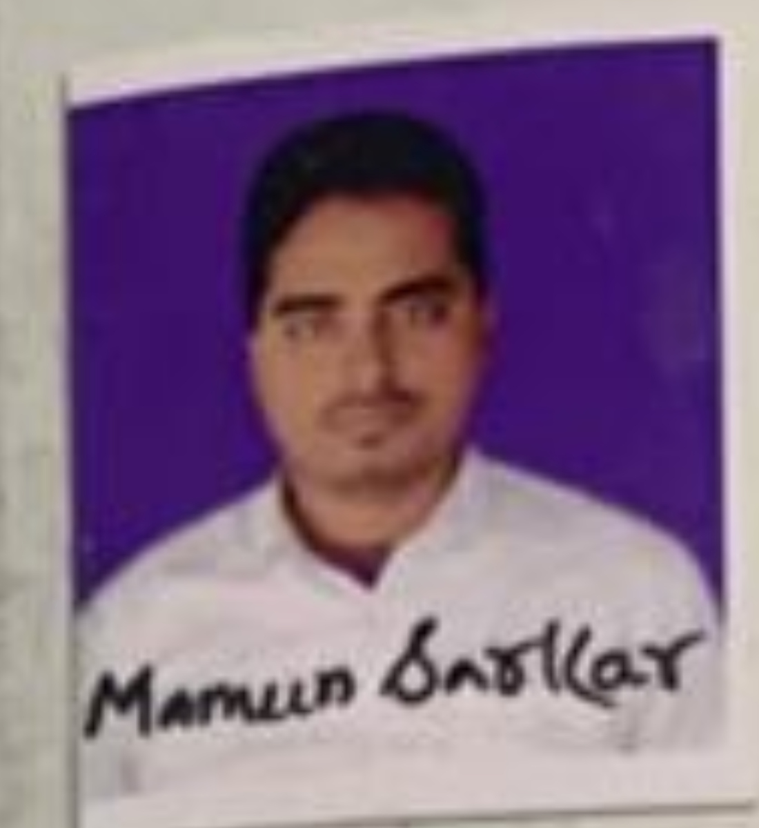 mamun sarkar