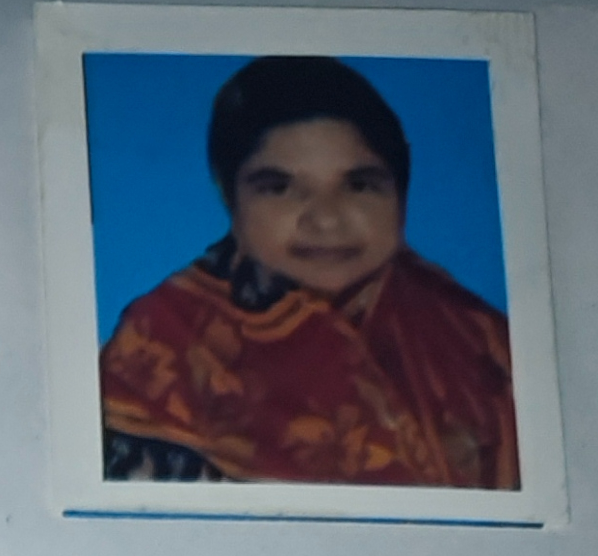 hachina bibi